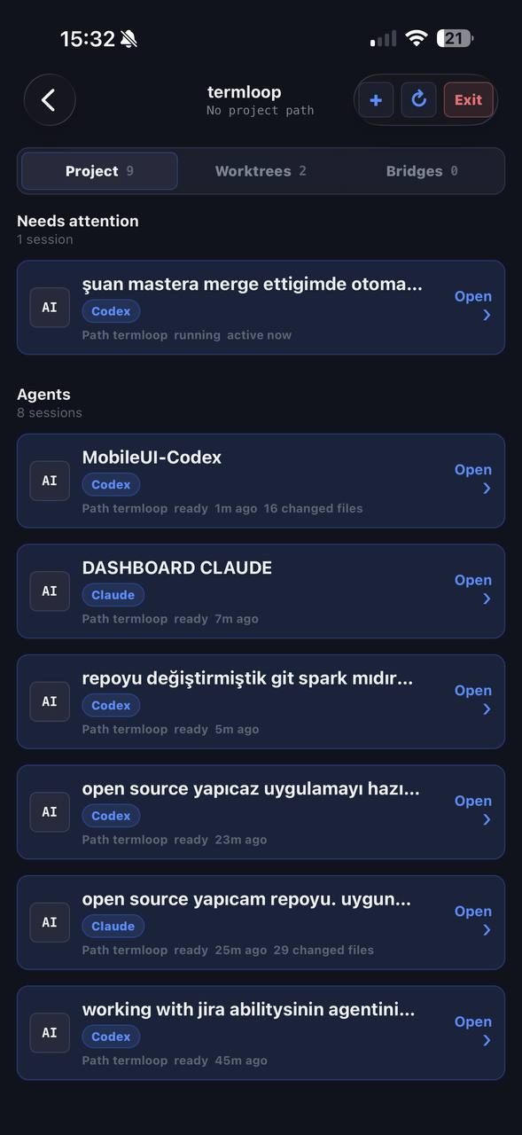 iOS app showing the termloop project workspace list
